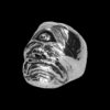 ANEL CYCLOPS