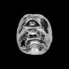 ANEL CYCLOPS - Image 2