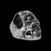 ANEL CYCLOPS - Image 3